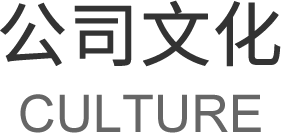 公司文化